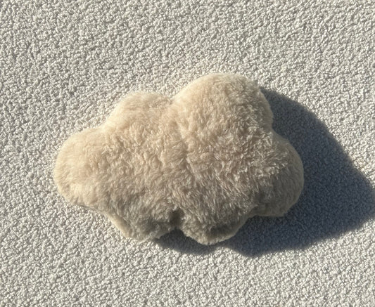 Fluffy teddy wolk